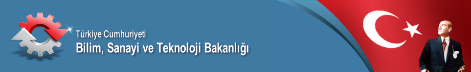 Otomotiv Sektörü Raporu (2013/1)