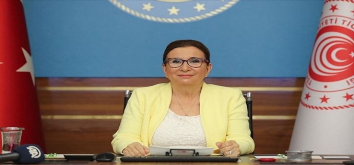 İkinci el araç satışında yeni düzenleme