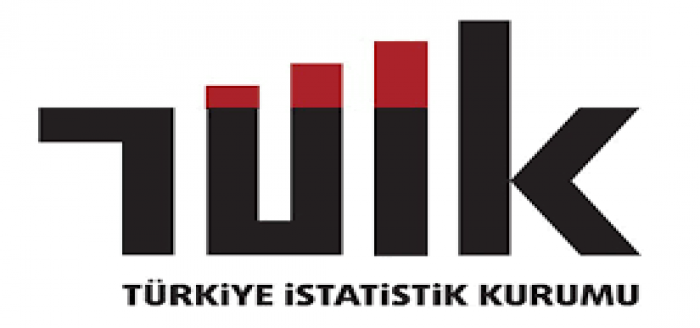 Karayolu Trafik Kaza İstatistikleri, 2020