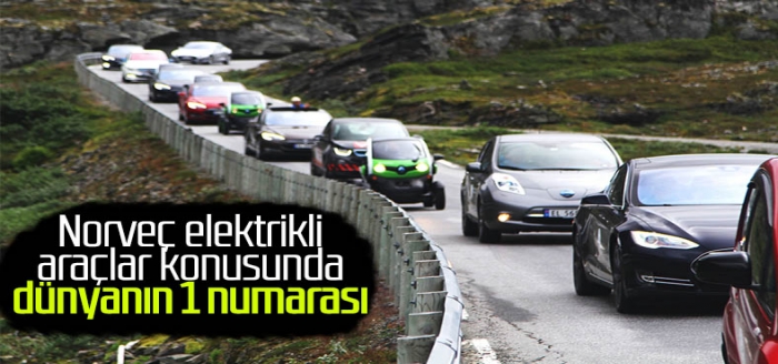 Norveç, elektrikli araç satış rekorunu kırdı