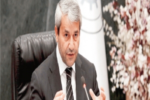 "Yerli otomobilde idealist yaklaşım bekliyoruz"