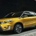 Suzuki Hindistan'Daki Üretimini Askıya Alıyor 1 Suzuki Hindistan'Daki Üretimini Askıya Alıyor