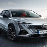 Türk Otomotiv Pazarında “Çin Mahallesi” Kuruluyor 1 Türk Otomotiv Pazarında “Çin Mahallesi” Kuruluyor